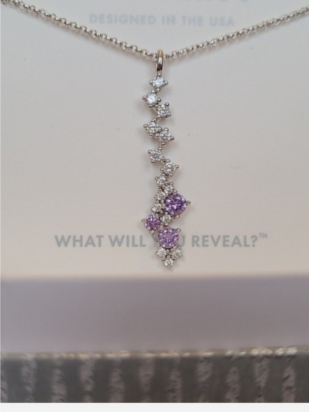 The Sterling Club Necklace RBP5202